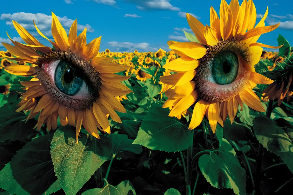 Photograph by SADIK İNCESU