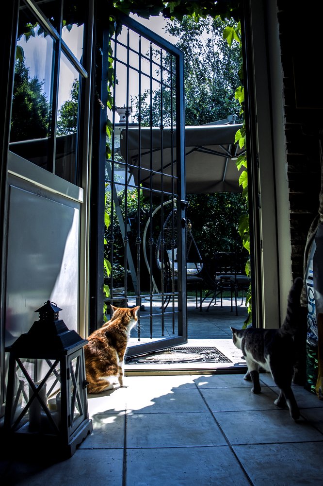 Photograph by Eleonora Pecoraro