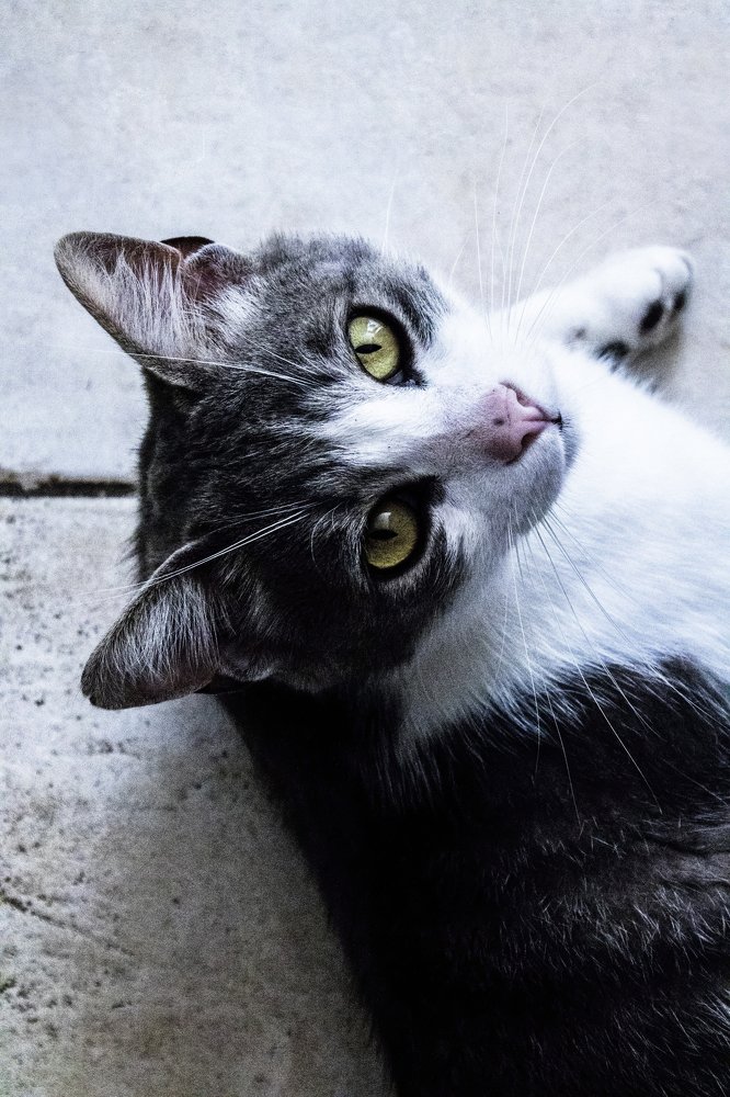 Photograph by Eleonora Pecoraro