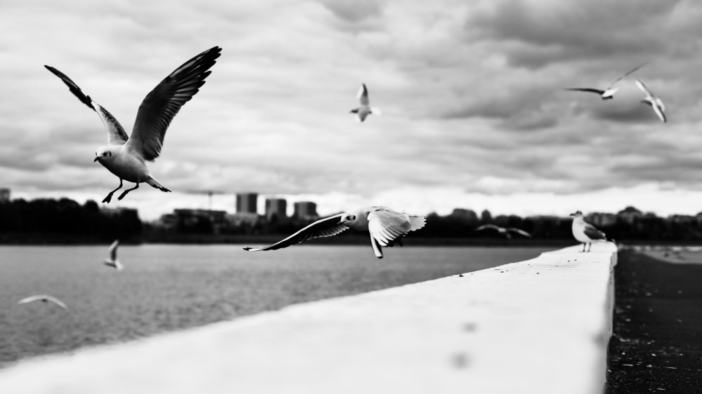 Photograph by Алия Айткалиева