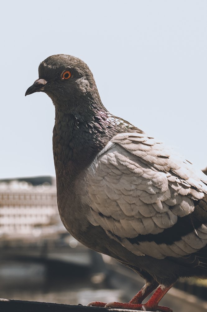 Photograph by Ильдус Шаруков