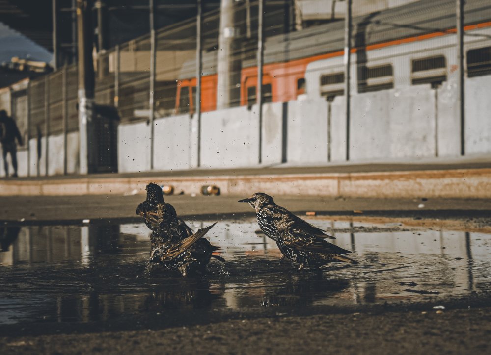 Photograph by Ильдус Шаруков