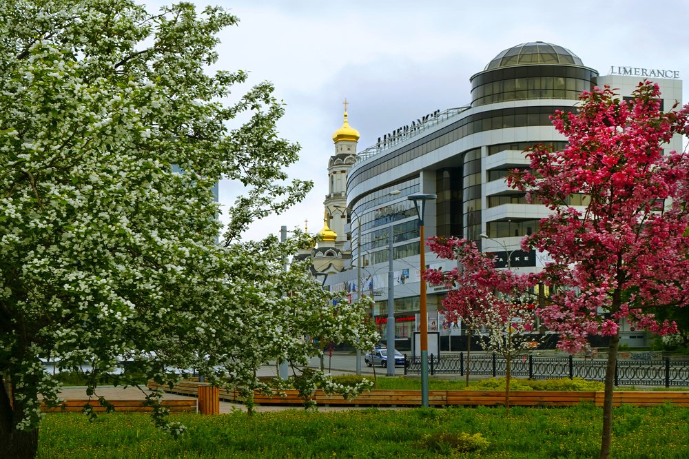 Город в цвету весеннем…
