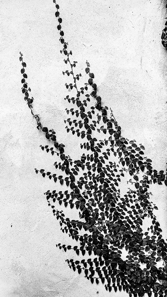 Photograph by Felipe Augusto