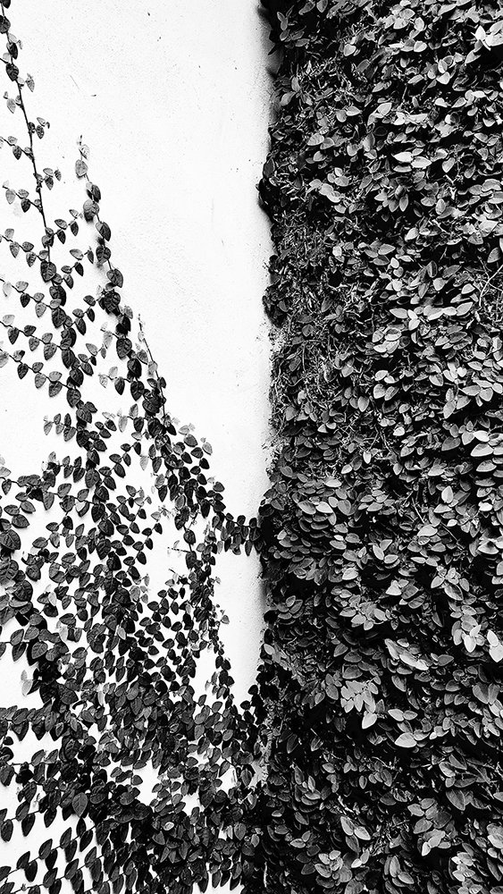 Photograph by Felipe Augusto