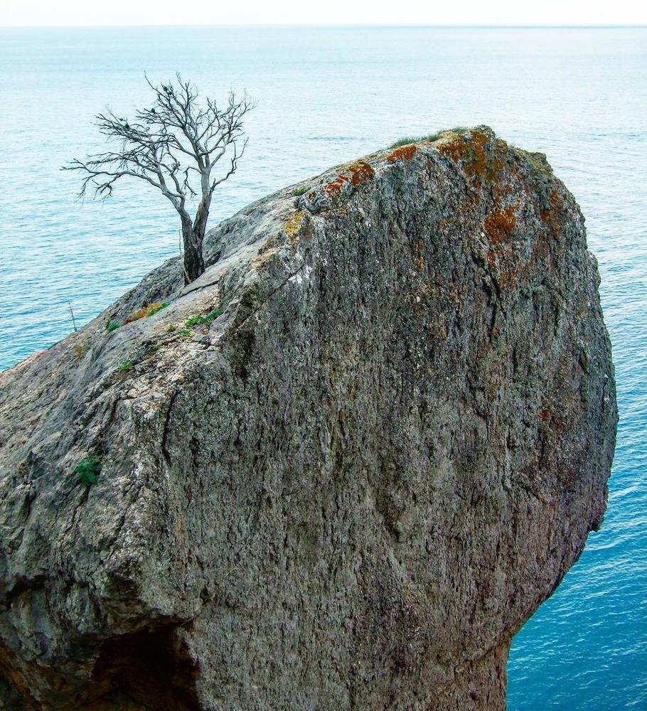Photograph by Юрий Чекалов