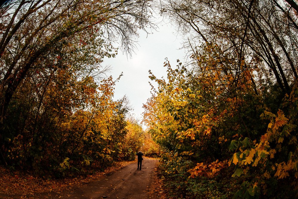 Пасмурный октябрь