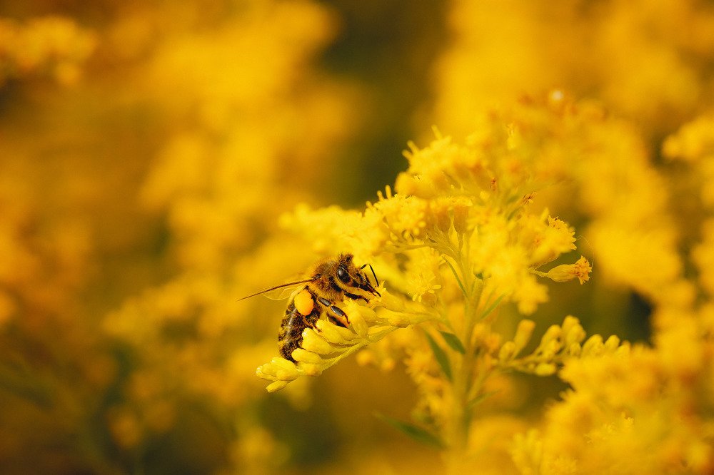 Photograph by Екатерина Аксёнова