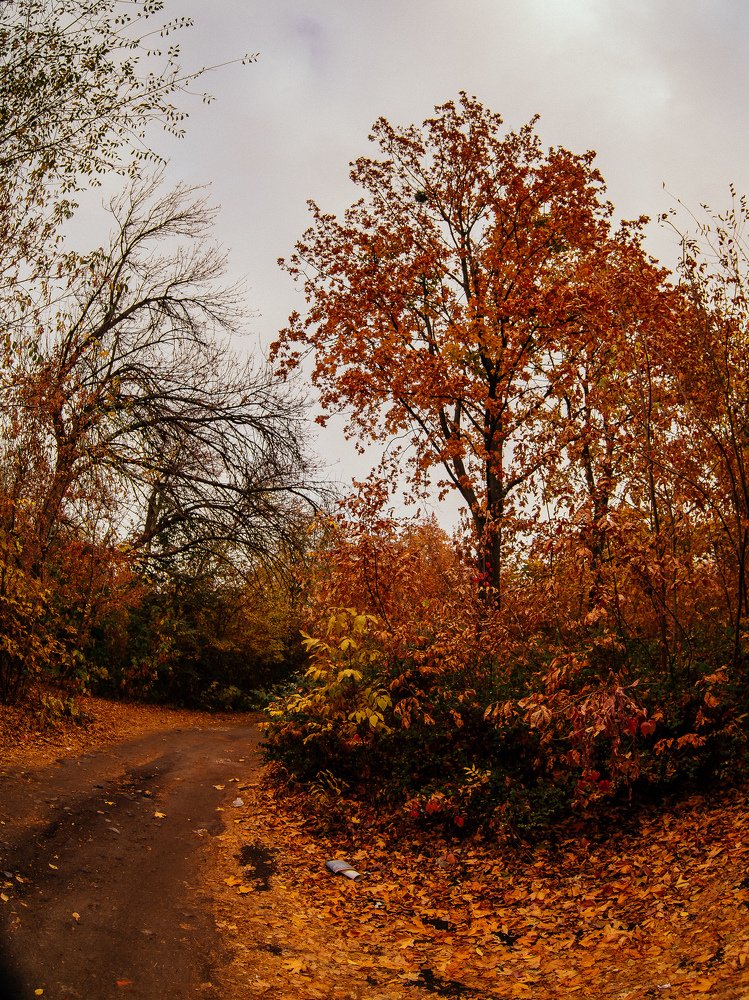 Photograph by Валентина Михайлова