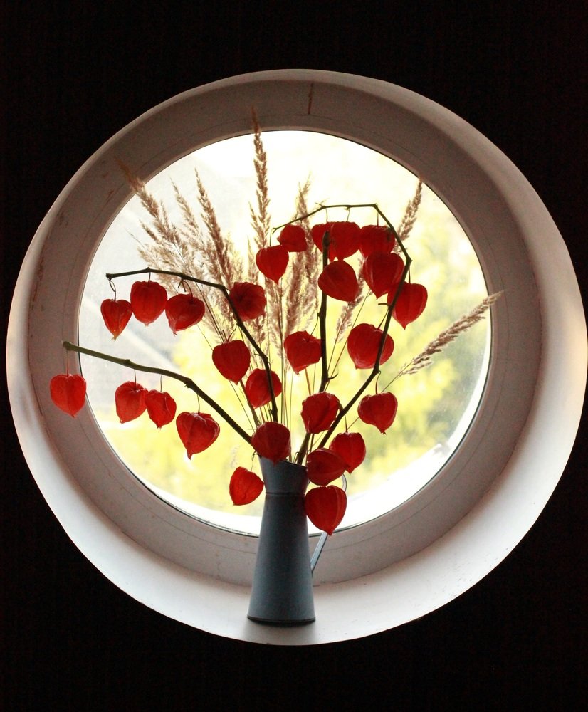 Photograph by Екатерина