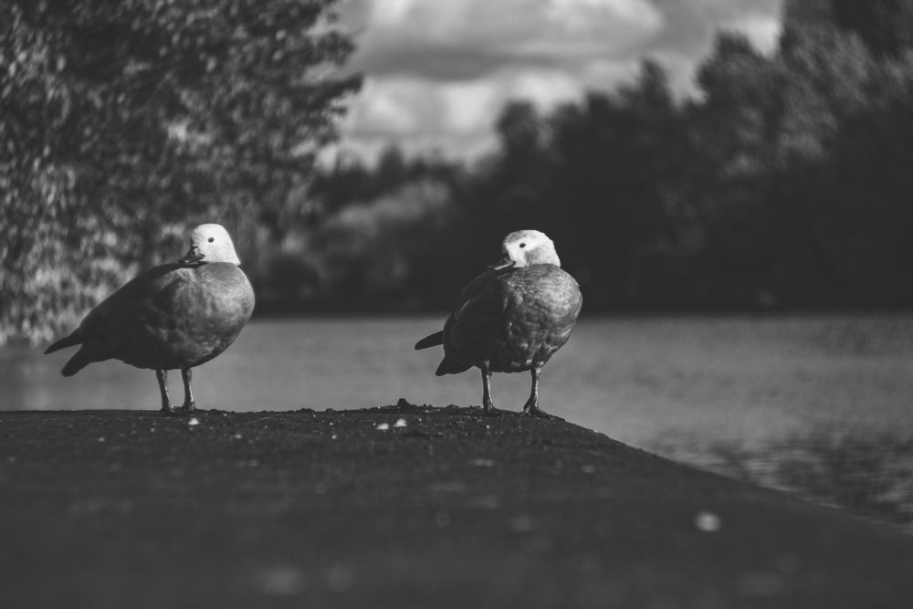 Photograph by Ильдус Шаруков