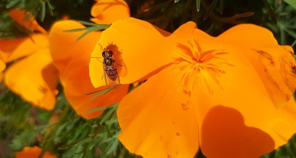 Photograph by Miroslav Pavlík