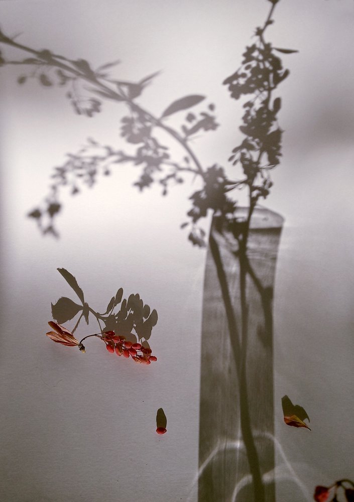 Photograph by Светлана Гок