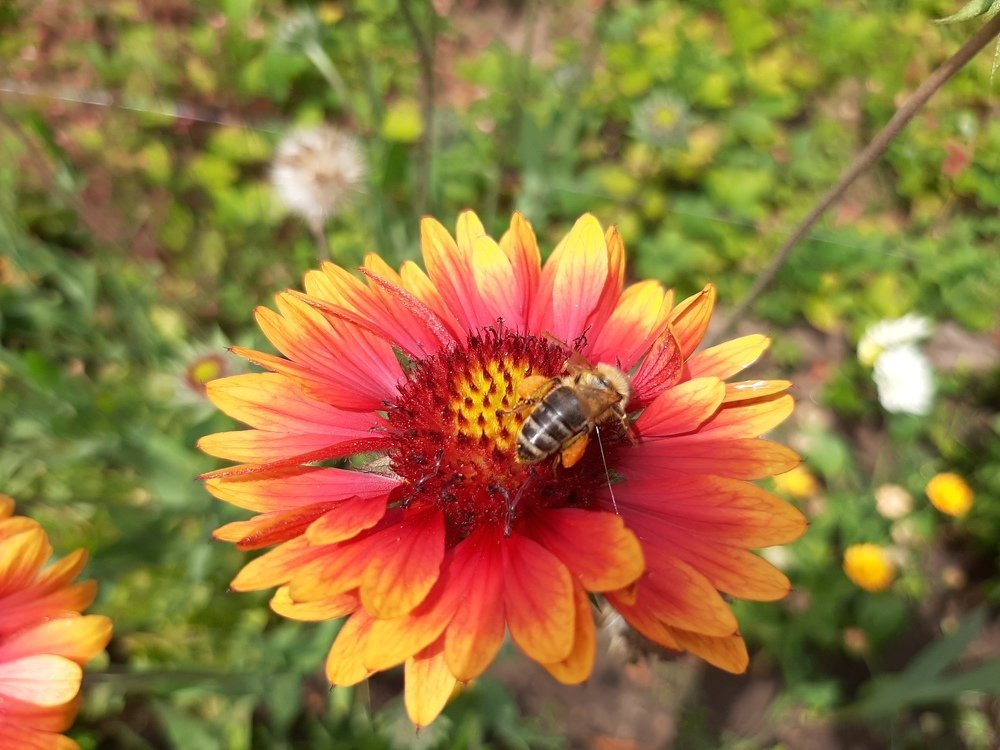 Photograph by Miroslav Pavlík