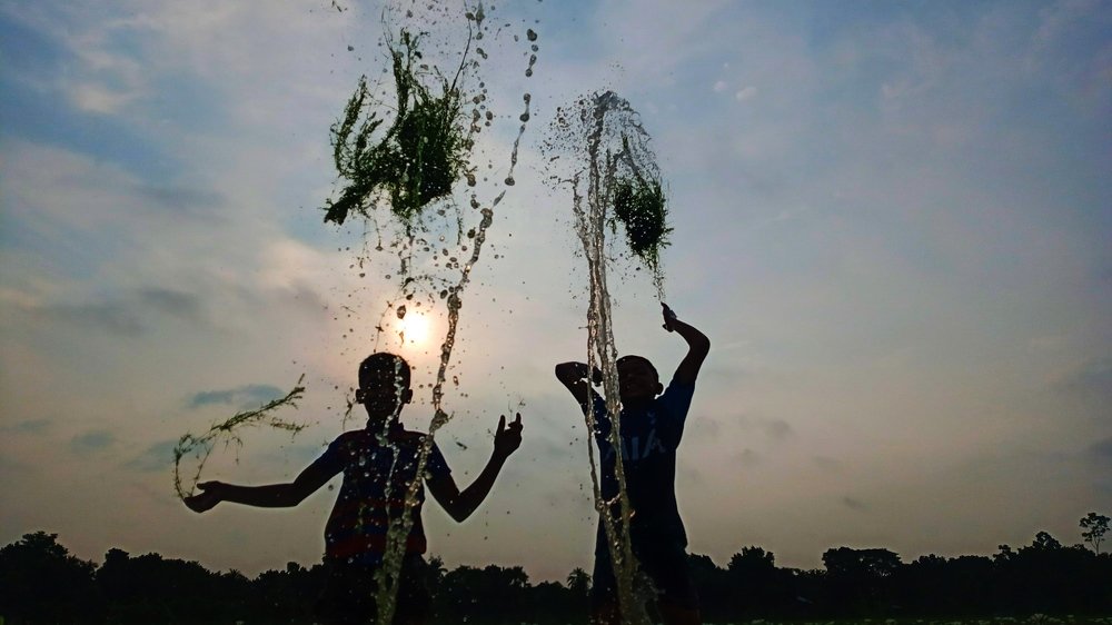 Photograph by Sheikh Md. Ebrahim