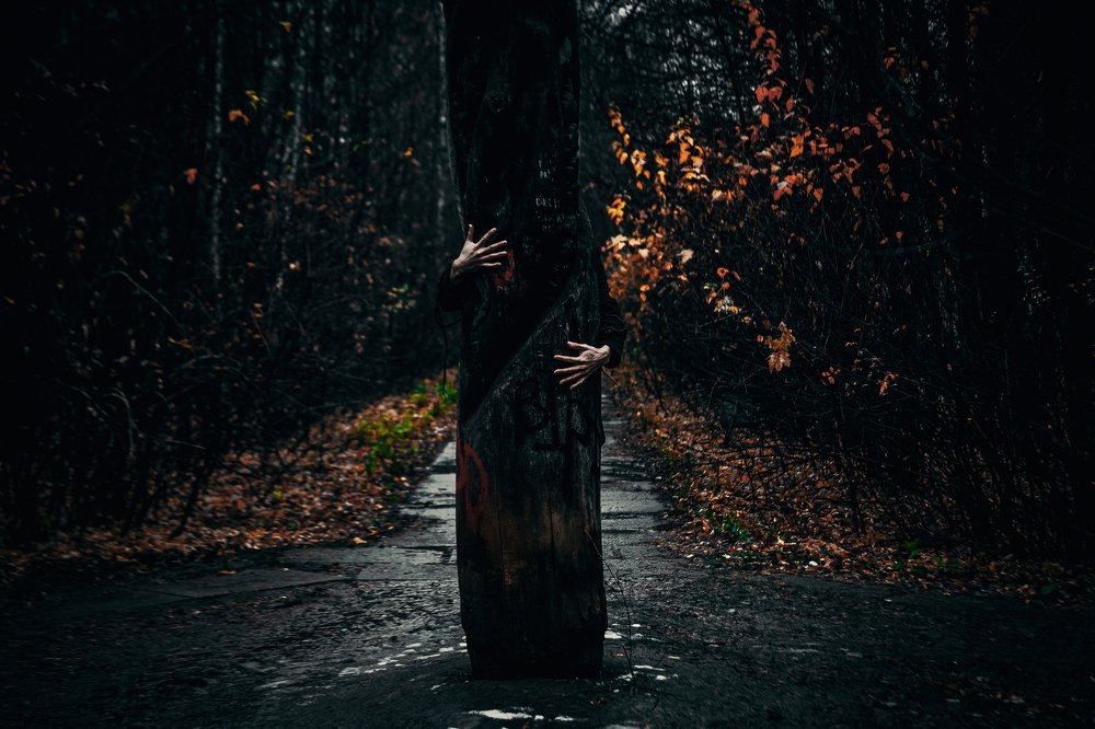 Фотография автора KIRILL ERMOLAEV