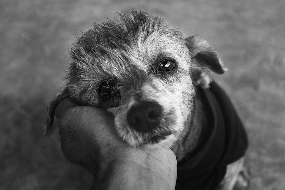 Photograph by Felipe Augusto