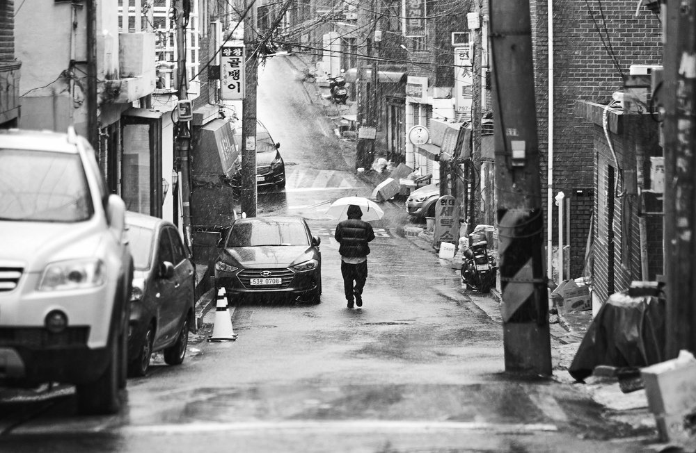 Photograph by Dmitry K