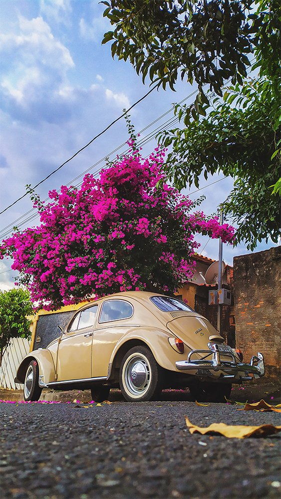 Photograph by Felipe Augusto