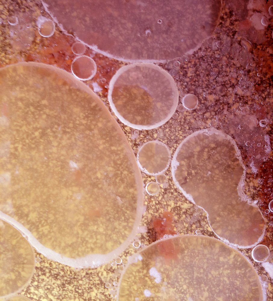 Photograph by Светлана Гок