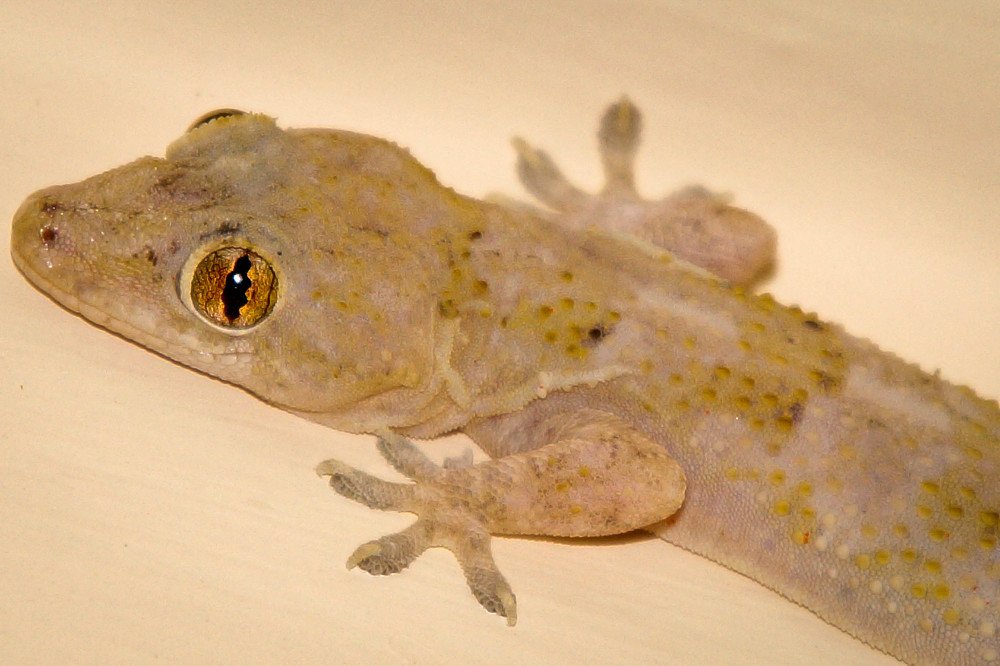 Фотография автора Andre Barbosa