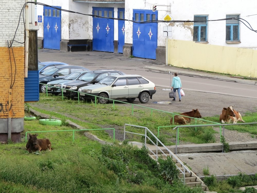 Послеобеденная сиеста