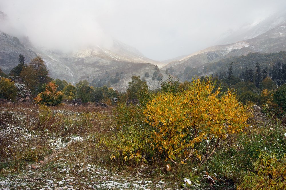 Photograph by Сергей Сережников