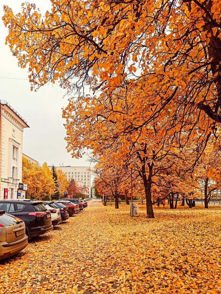 Photograph by Ольга Ситникова