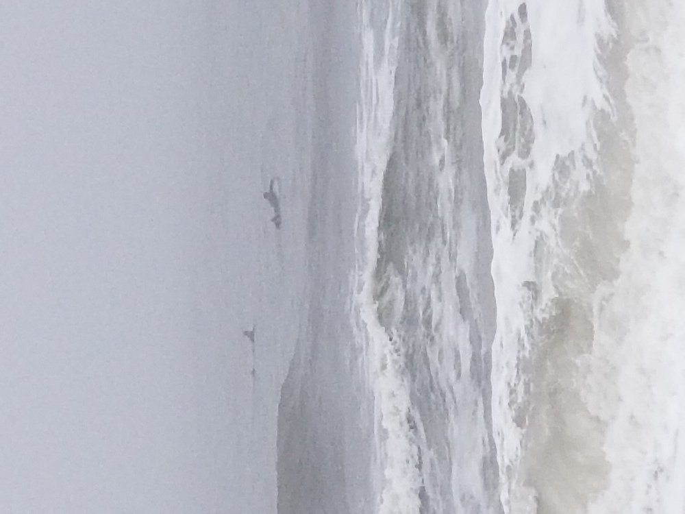 Photo #5133959