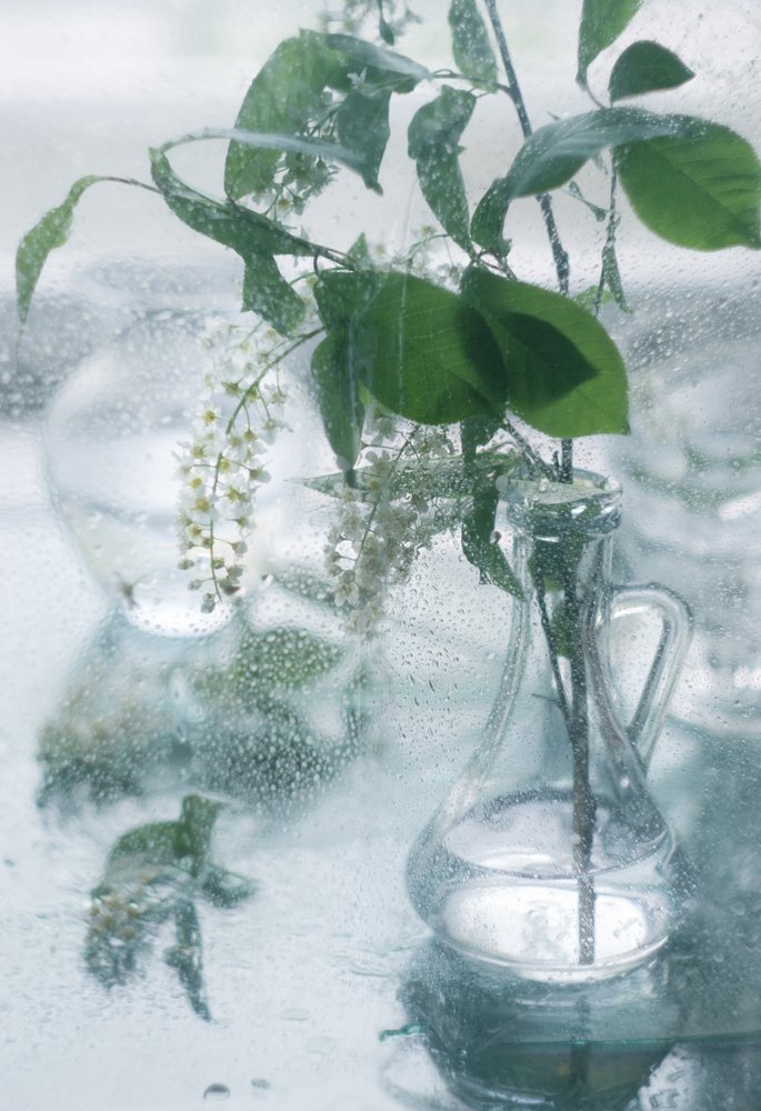 Photograph by Светлана Гок