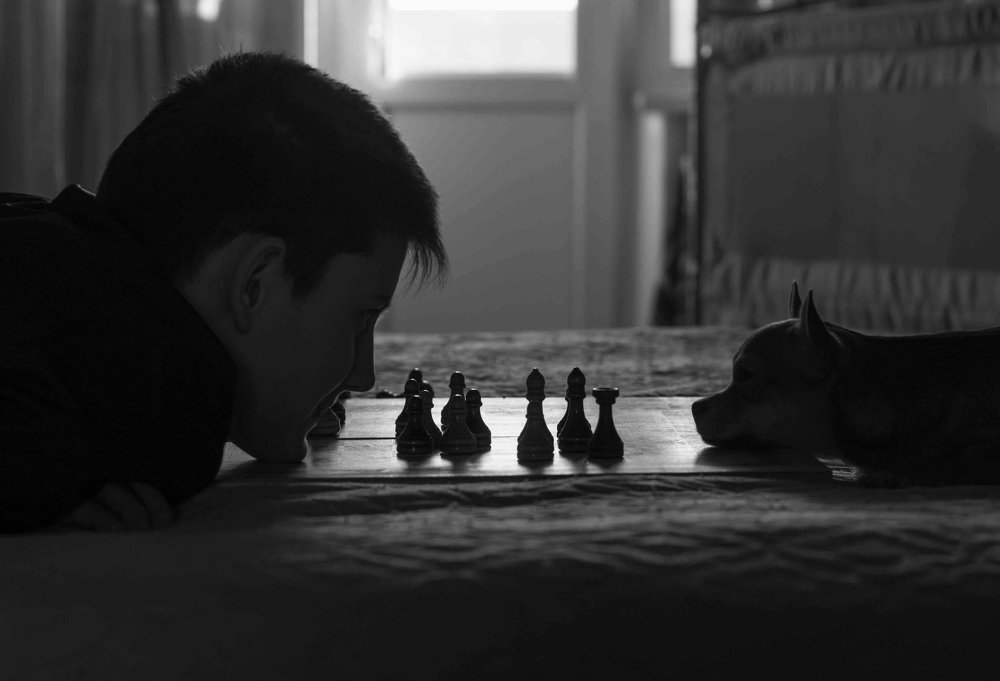 Молчаливый диалог