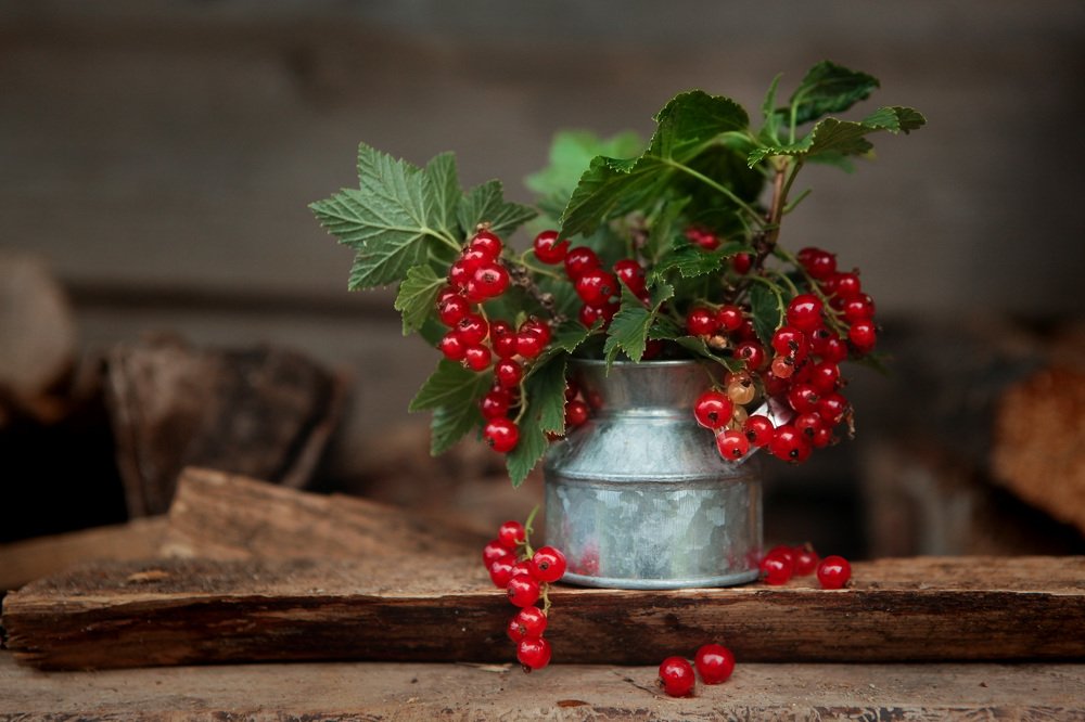 Photograph by Алина Евсеева