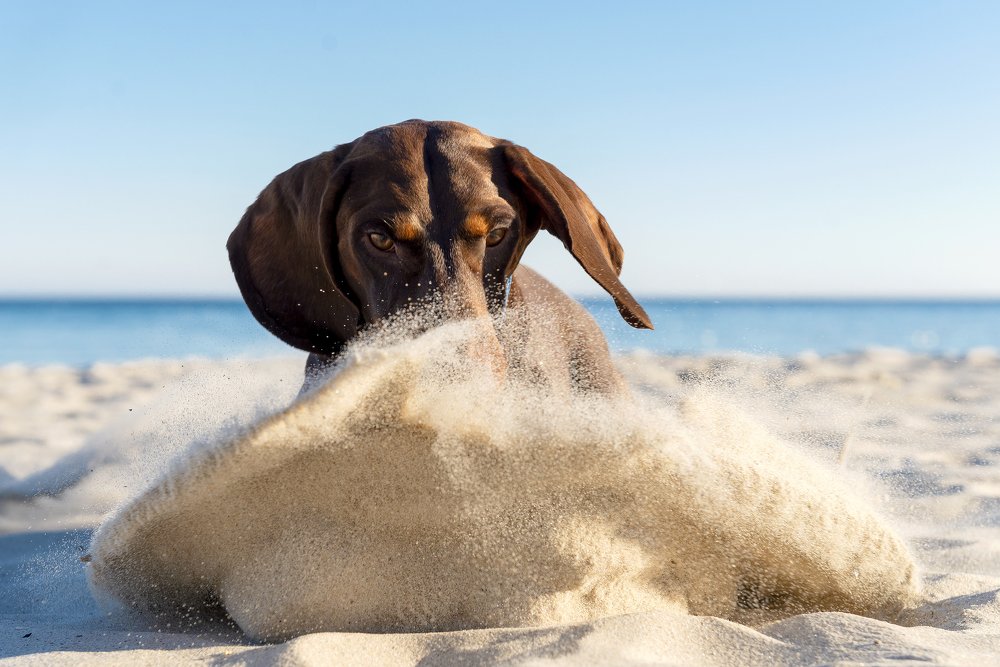 Фотография автора Ольга Тенилова
