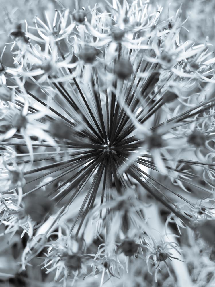 Ракурс решает