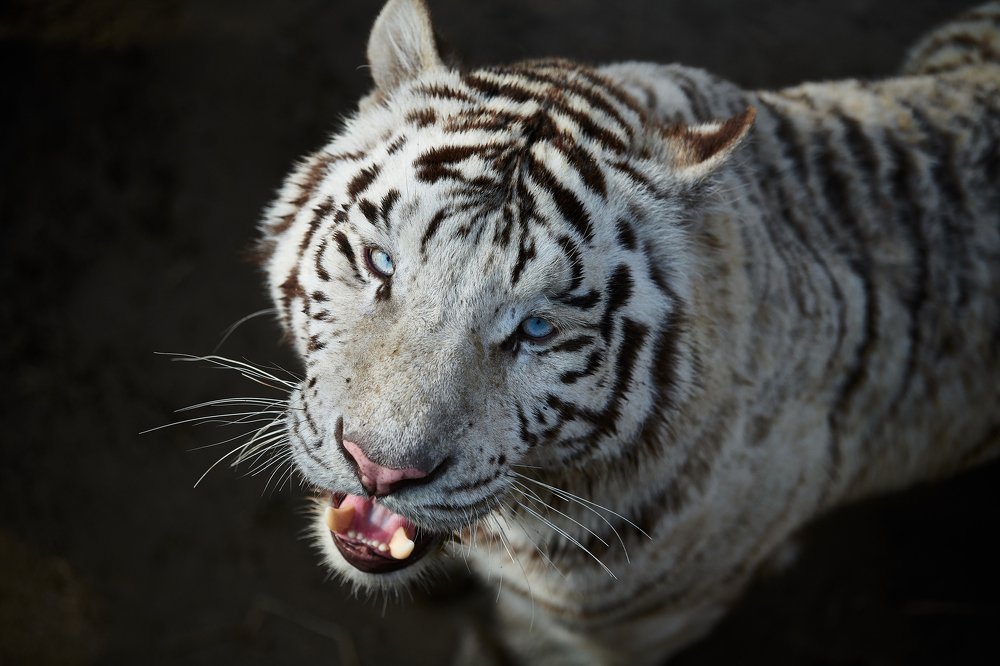 Фотография автора Mino Swayne