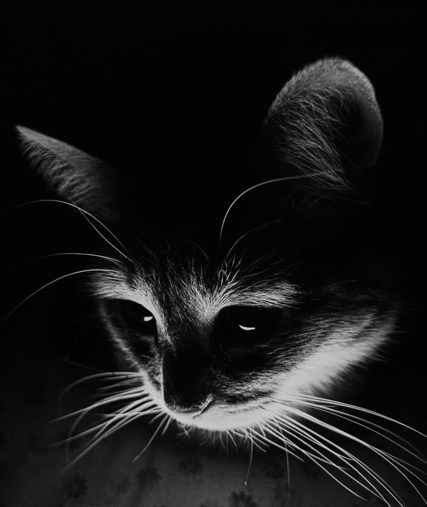 Photograph by Ольга Ситникова