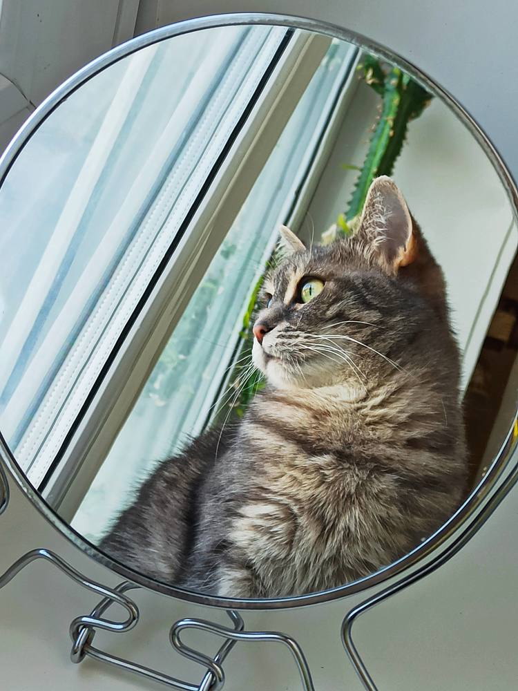 Photograph by Ольга Ситникова