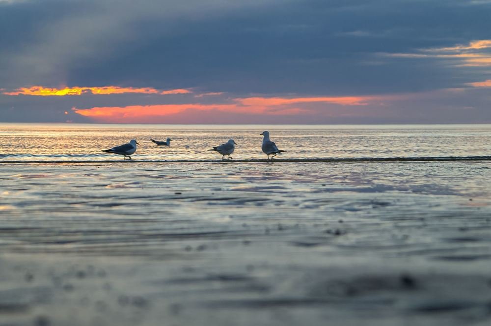Photograph by Ольга Ситникова