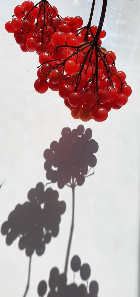 Photograph by Виктория Иванова