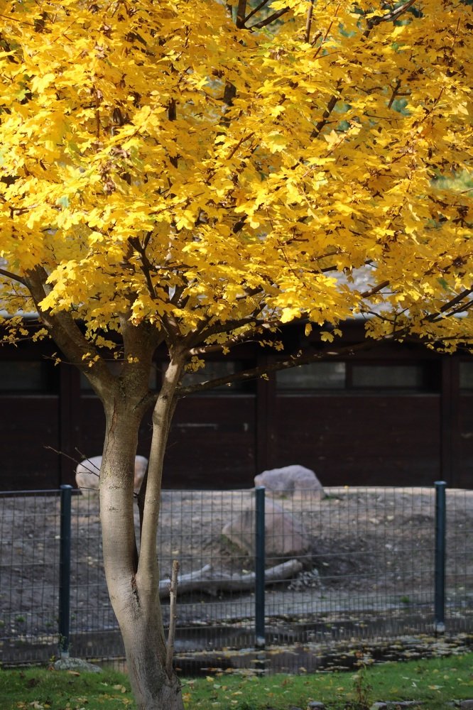 Фотография автора Kateryna Pronina