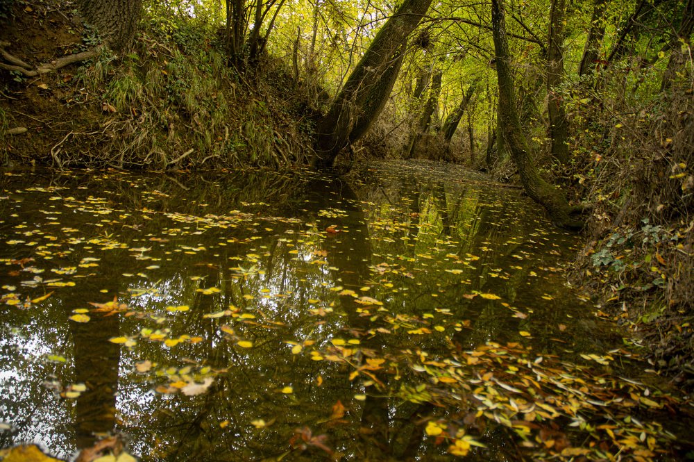 Photograph by stefanini alexis