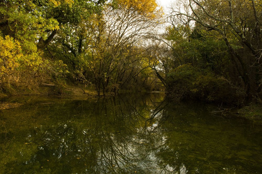 Photograph by stefanini alexis