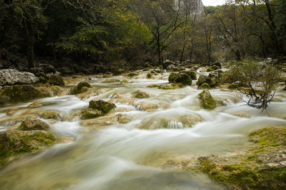 Photograph by stefanini alexis