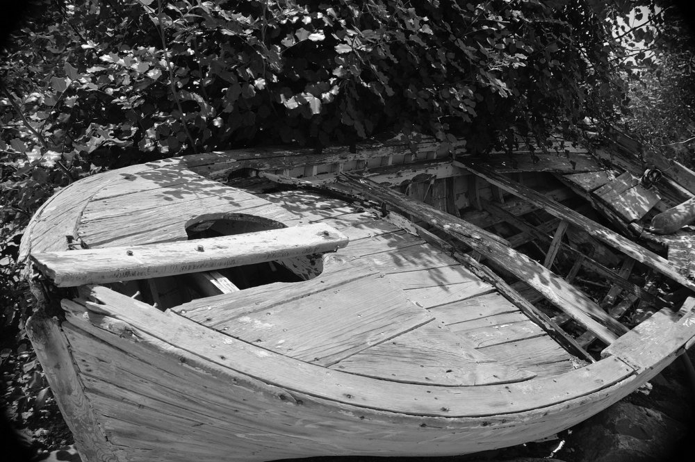 Photograph by Frank Gal