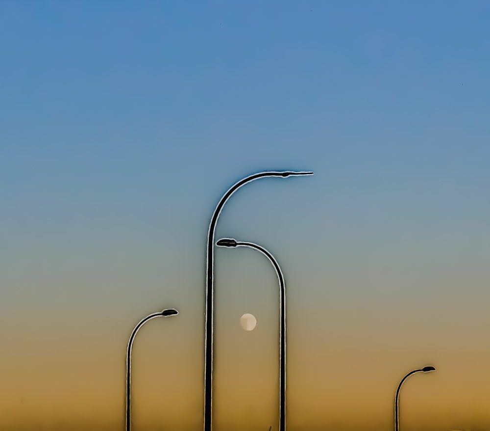 Photograph by Gabriella Sicurello