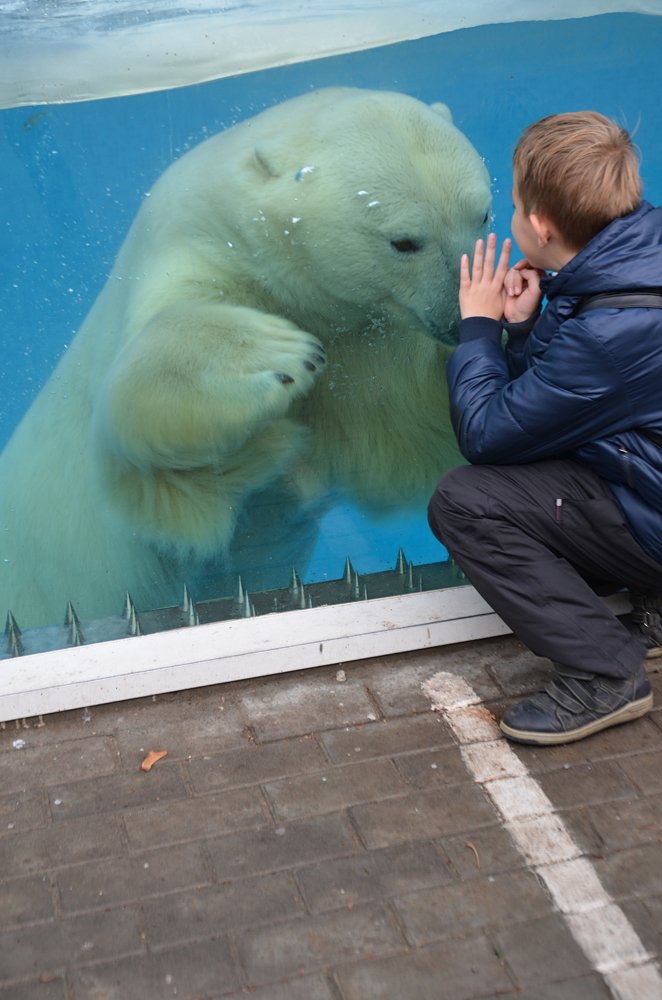 Photograph by Наталия Иванова