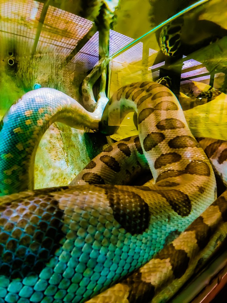 Photograph by Gabriella Sicurello