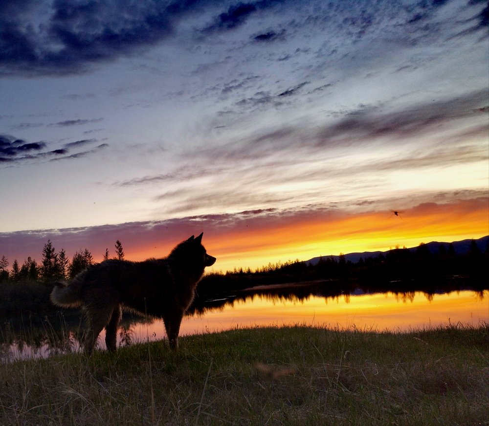 Photograph by Светлана