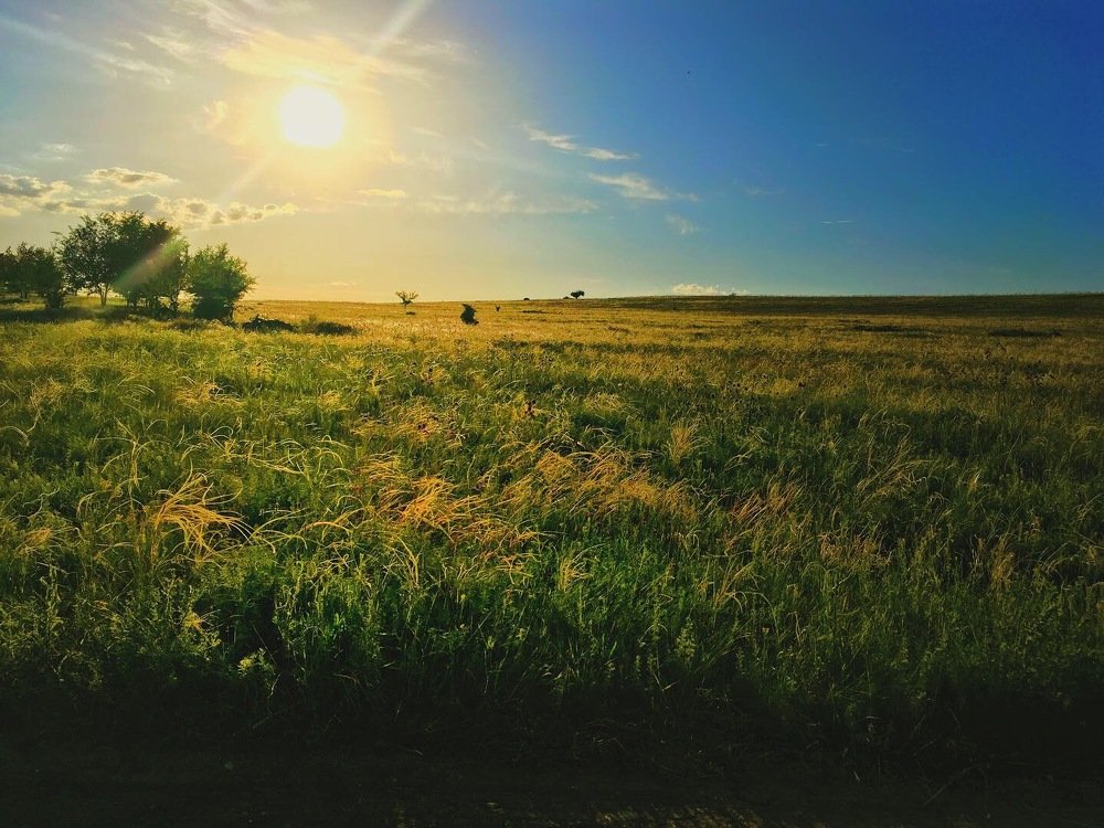 Фотография автора Артемий Николаевич