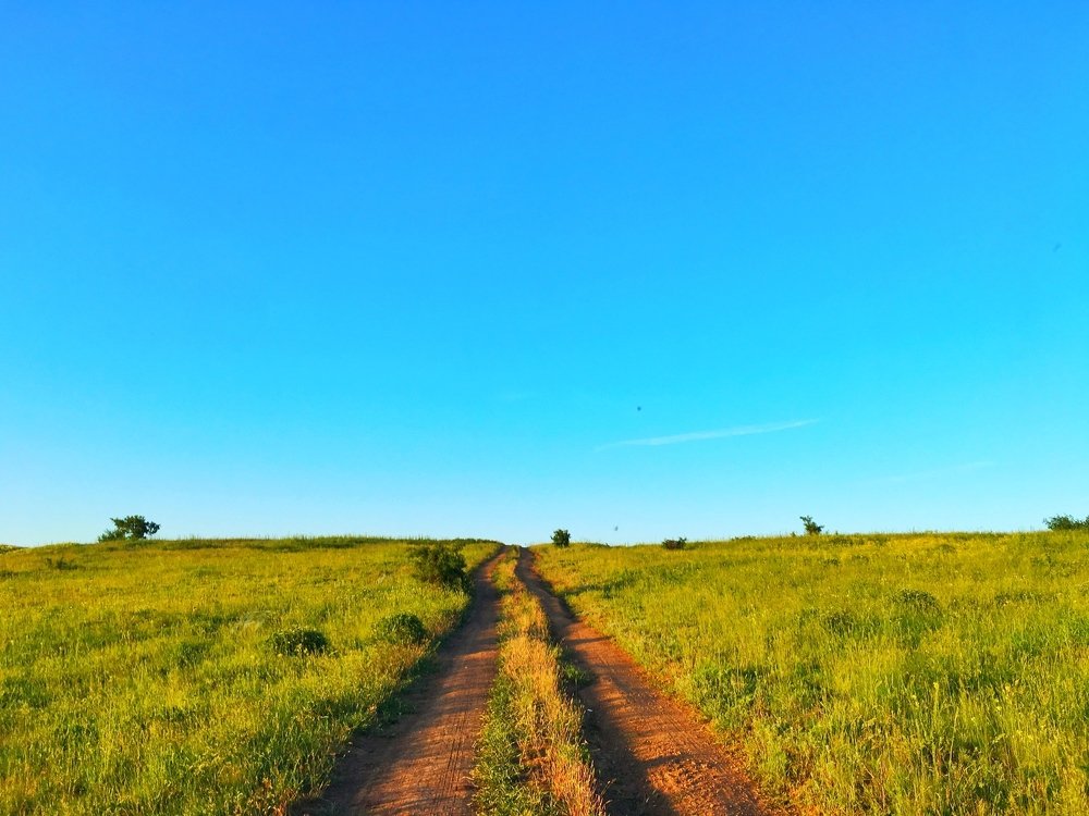 Фотография автора Артемий Николаевич